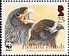 Striated Caracara Phalcoboenus australis  2006 WWF 