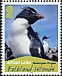 Southern Rockhopper Penguin Eudyptes chrysocome  2010 Penguins White frames