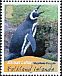 Magellanic Penguin Spheniscus magellanicus  2010 Penguins White frames