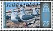 Dolphin Gull Leucophaeus scoresbii  2015 Colour in nature 4v set