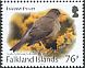 Austral Thrush Turdus falcklandii