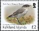 Dark-faced Ground Tyrant Muscisaxicola maclovianus  2017 Birds definitives 