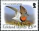 Rufous-chested Dotterel Zonibyx modestus  2017 Birds definitives 