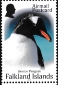 Gentoo Penguin Pygoscelis papua