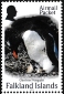 Gentoo Penguin Pygoscelis papua