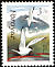 Arctic Tern Sterna paradisaea  1991 Birds 