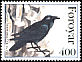 Northern Raven Corvus corax  1995 The Raven 