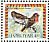 Common Redpoll Acanthis flammea  1997 Birds Booklet