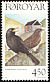 Common Blackbird Turdus merula  1998 Birds 
