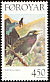 Common Starling Sturnus vulgaris  1998 Birds 