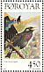 Common Starling Sturnus vulgaris  1998 Birds Booklet