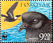 European Storm Petrel Hydrobates pelagicus  2005 WWF 