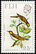 Kadavu Honeyeater Meliphacator provocator  1973 Birds and flowers Sideways wmk