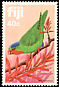 Blue-crowned Lorikeet Vini australis  1983 Parrots 