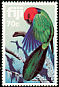 Crimson Shining Parrot Prosopeia splendens  1983 Parrots 
