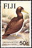 Brown Booby Sula leucogaster  1985 Seabirds 