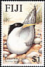 Greater Crested Tern Thalasseus bergii  1985 Seabirds 