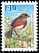 Island Thrush Turdus poliocephalus