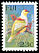 Many-colored Fruit Dove Ptilinopus perousii  1995 Birds 