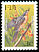 Ogea Monarch Mayrornis versicolor  1995 Birds 
