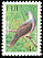 Barking Imperial Pigeon Ducula latrans  1995 Birds 