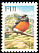 Pacific Robin Petroica pusilla  1995 Birds 