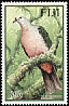 Pacific Imperial Pigeon Ducula pacifica