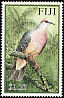 Barking Imperial Pigeon Ducula latrans