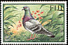 Rock Dove Columba livia  2001 Pigeons of Fiji 