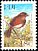 Island Thrush Turdus poliocephalus