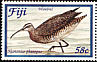 Eurasian Whimbrel Numenius phaeopus