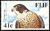 Peregrine Falcon Falco peregrinus  2005 Peregrine Falcon 