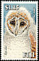 Eastern Barn Owl Tyto javanica