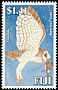 Eastern Barn Owl Tyto javanica