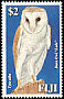 Eastern Barn Owl Tyto javanica  2006 Fijis Barn Owl 