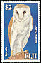 Eastern Barn Owl Tyto javanica