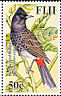 Red-vented Bulbul Pycnonotus cafer