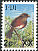 Island Thrush Turdus poliocephalus