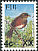 Island Thrush Turdus poliocephalus  2008 Surcharge XX 5mm