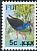 Australasian Swamphen Porphyrio melanotus