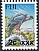 Fiji Goshawk Accipiter rufitorques  2023 Surcharge 