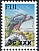 Fiji Goshawk Accipiter rufitorques