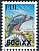 Fiji Goshawk Accipiter rufitorques