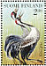 Common Crane Grus grus  1997 The Crane Sheet