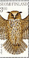 Eurasian Eagle-Owl Bubo bubo