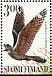 European Nightjar Caprimulgus europaeus