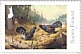 Western Capercaillie Tetrao urogallus  2021 Finnish art classics 8v set, sa