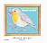European Robin Erithacus rubecula