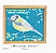 Eurasian Blue Tit Cyanistes caeruleus