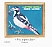 Great Spotted Woodpecker Dendrocopos major